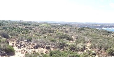Carrapateira