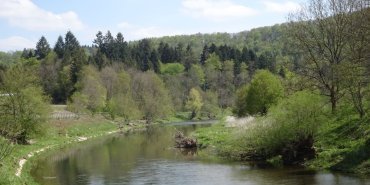 Le Danube