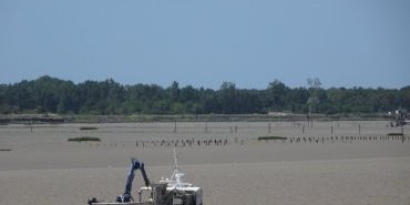 Activité de pêcheurs