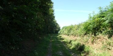parfois la piste...