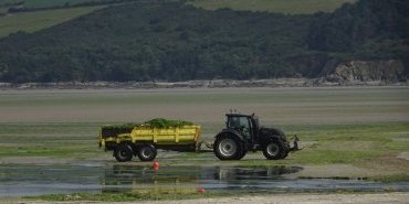 Ramassage des algues vertes à Saint-Michel de la mer