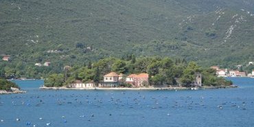 élevages d'huitres et coquillages