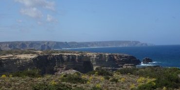 Carrapateira