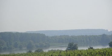 Danube, Romania, shortly after Silistra