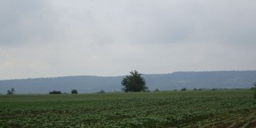 Serbian Country Side