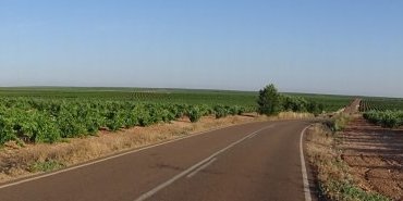 Paysage