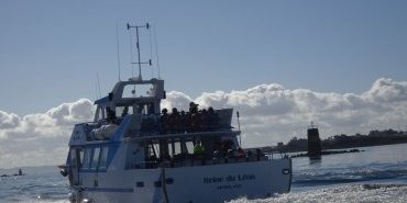 Départ pour l'île de Batz