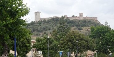 Bosa