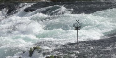 Les chutes du Rhin