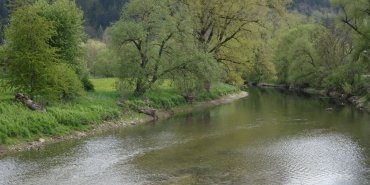 Le Danube à Tuttlingen
