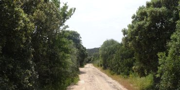 Le chemin