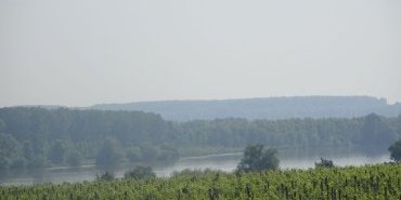 Danube, en Roumanie, peu après Silistra