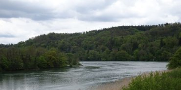 Le Rhin à Bad-Sackingen