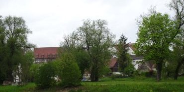 Riedlingen