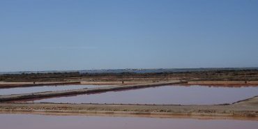 Marais salants vers Olhao