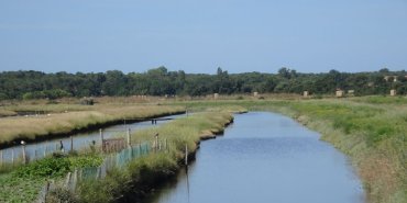Encore des marais