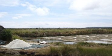 Marais salants de Guerande