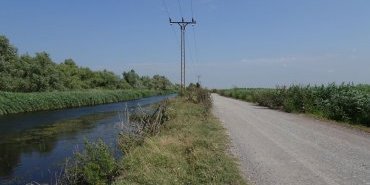 La route vers Letea