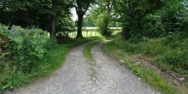 Take or not this path