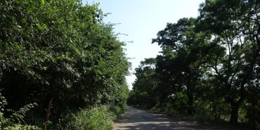 J'ai enfin quitté la grande route Varna-Burgas !