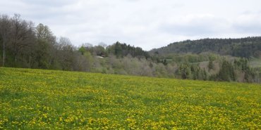 campagne