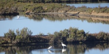 Marais salants vers Olhao