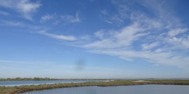 Réserve nationale de Camargue