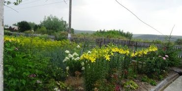 Le jardin de la Dame qui m'a accueilli sous l'orage