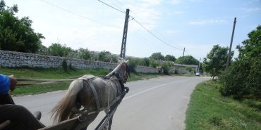 Carriole