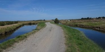 La piste dans le marais
