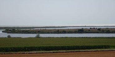 Un marais et la mer