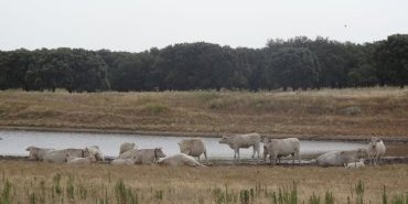 Extremadura