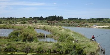 Pêcheur