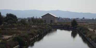 Les salins