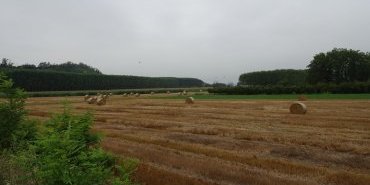 Départ de Bozzole
