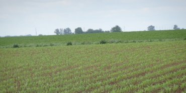 Campagne Croate