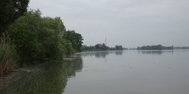 This arm of the Danube is calm, a little marshy