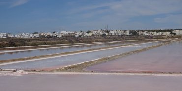 Marais salants