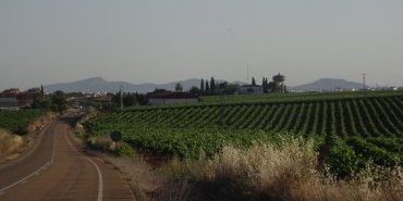 Almedralejo