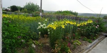 The Lady's garden that welcomed me in the storm