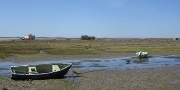 Marée basse