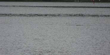 Quel trafic sur le Danube !