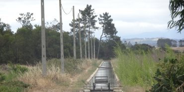 Irrigation