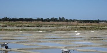 Marais salant