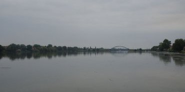 This arm of the Danube is calm, a little marshy