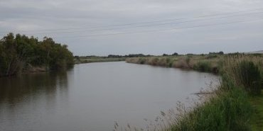 Rio Mare Foghe