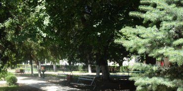 Le parc où j'ai bu le café