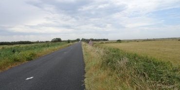 La route dans le marais