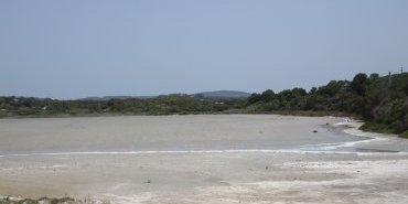 Calasetta