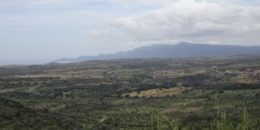 Paysage